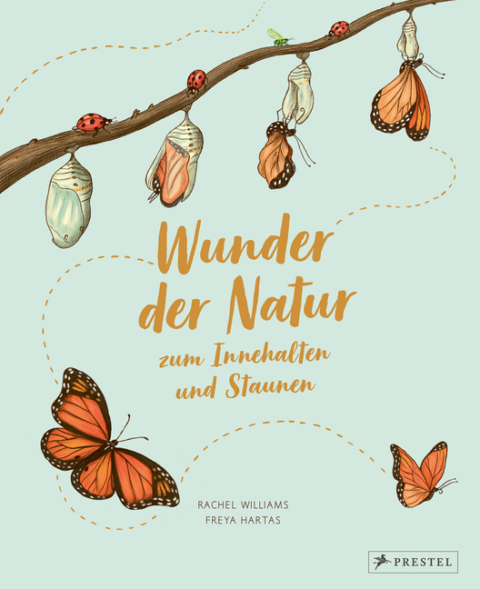 Freya Hartas: Wunder der Natur zum Innehalten und Staunen - gebunden