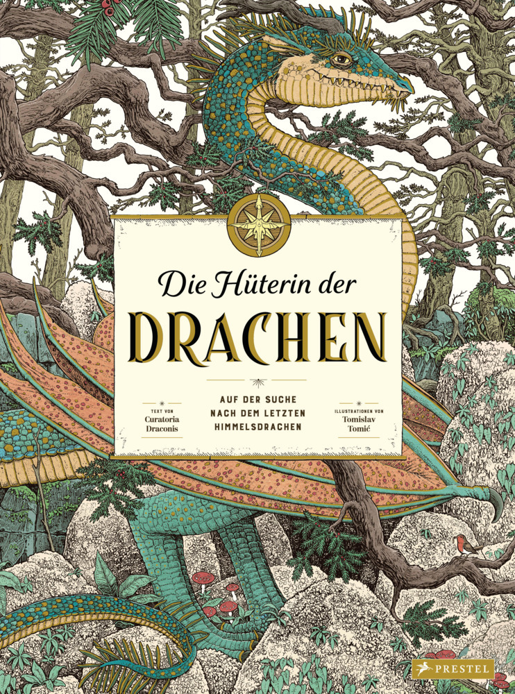 Curatoria Draconis: Die Hüterin der Drachen - gebunden