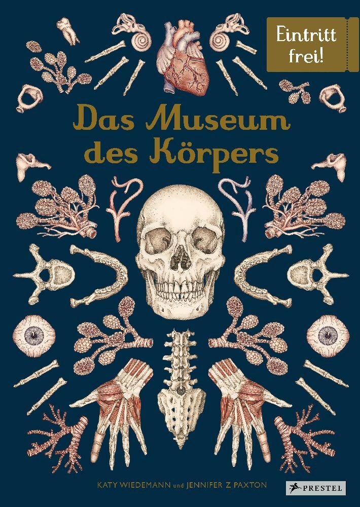 Jennifer Z. Paxton: Das Museum des Körpers - gebunden