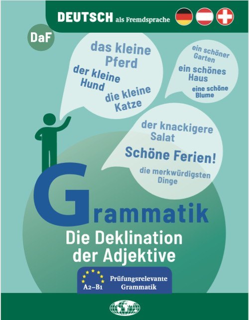 Natalie Thomas: Die Deklination der Adjektive - Taschenbuch