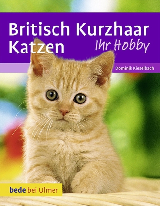 Heidi Betz: Britisch Kurzhaar Katzen - gebunden