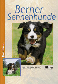 Alexandra Haug: Berner Sennenhunde - gebunden