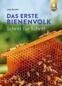 Jean Riondet: Das erste Bienenvolk  - Schritt für Schritt - Taschenbuch