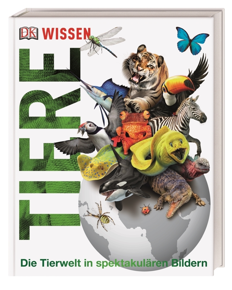 John Woodward: DK Wissen. Tiere - gebunden