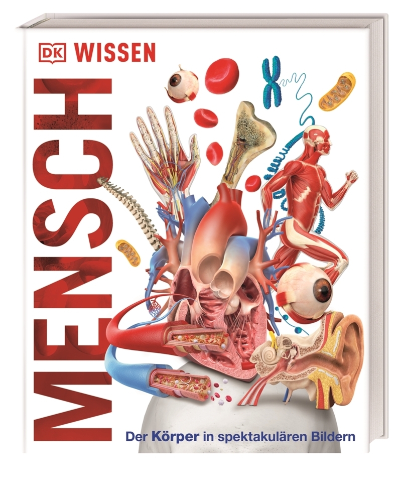 DK Wissen. Mensch - gebunden