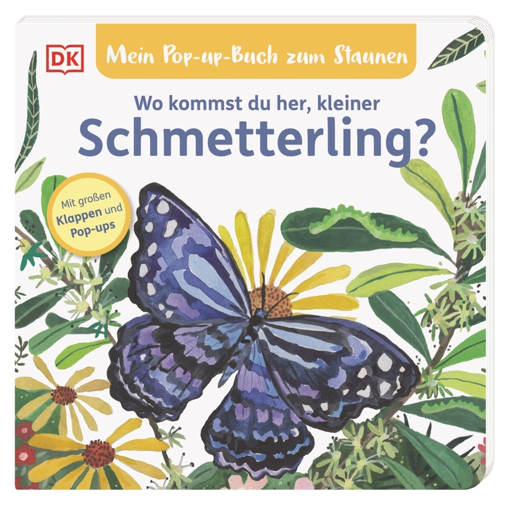 Sandra Grimm: Mein Pop-up-Buch zum Staunen. Wo kommst du her, kleiner Schmetterling?