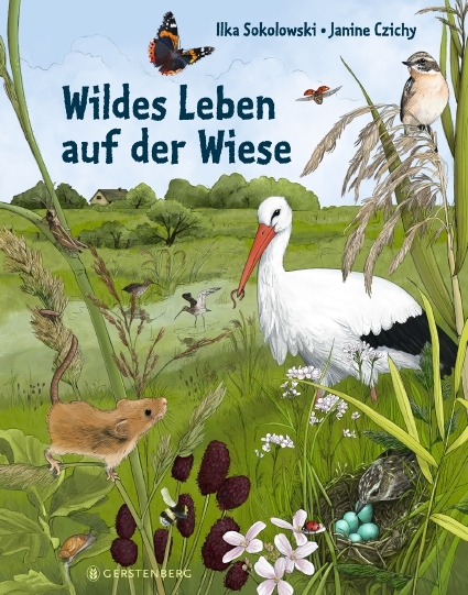 Ilka Sokolowski: Wildes Leben auf der Wiese - gebunden