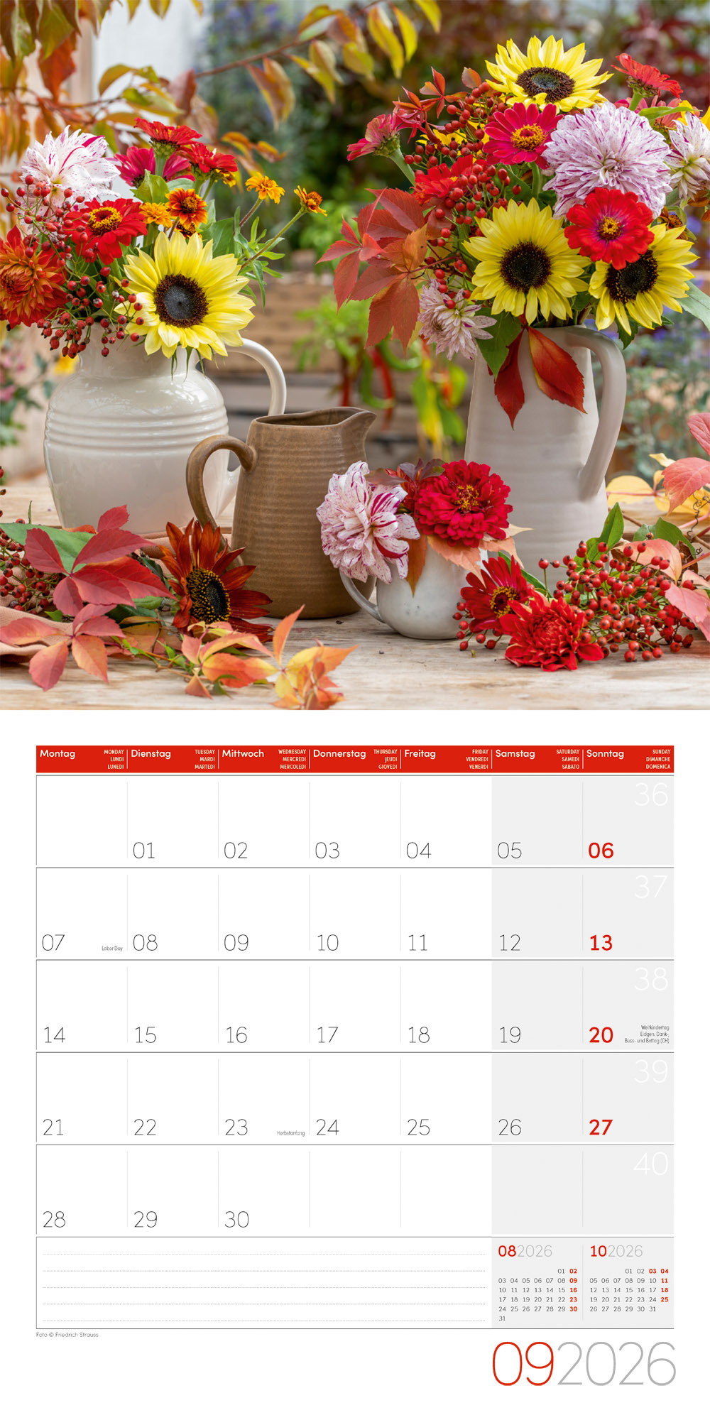 Hundertwasser Broschürenkalender Art 2023 Kaufen - Wörner Verlag