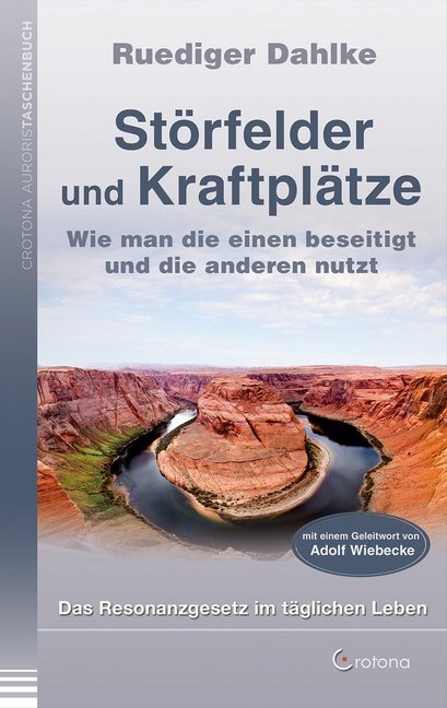 Ruediger Dahlke: Störfelder und Kraftplätze