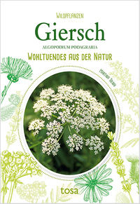 Martina Tolnai: Giersch - Aegopodium Podagraria - Taschenbuch