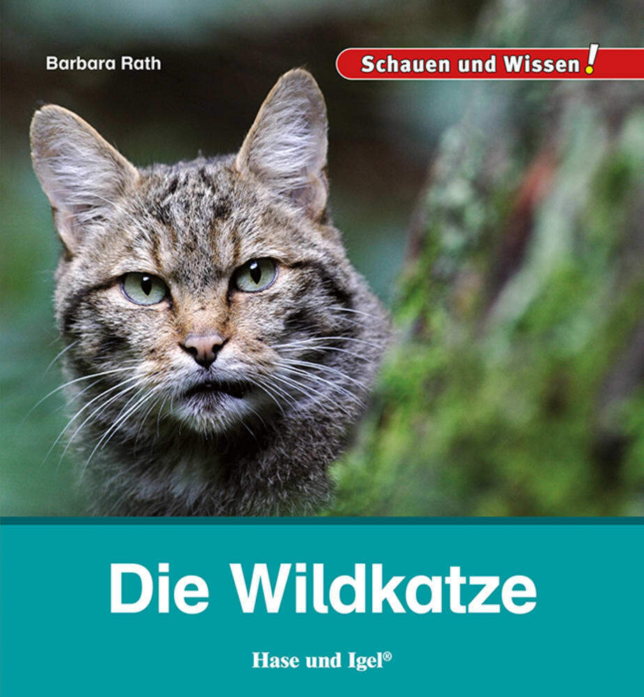 Barbara Rath: Die Wildkatze - gebunden