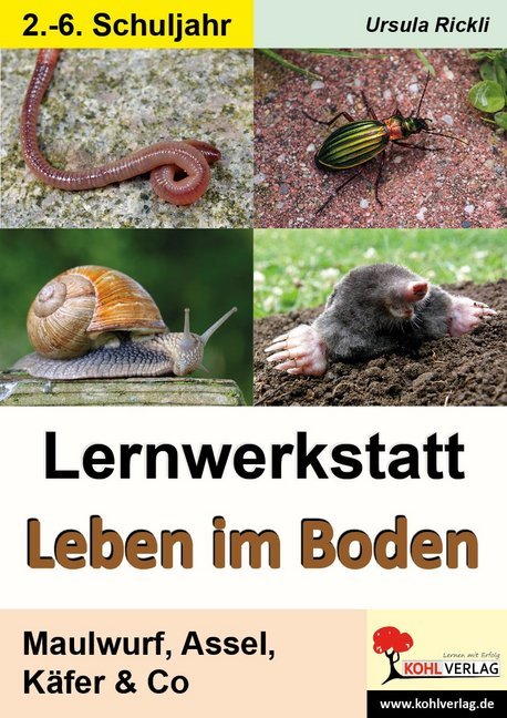 Ursula Rickli: Lernwerkstatt Leben im Boden - Taschenbuch