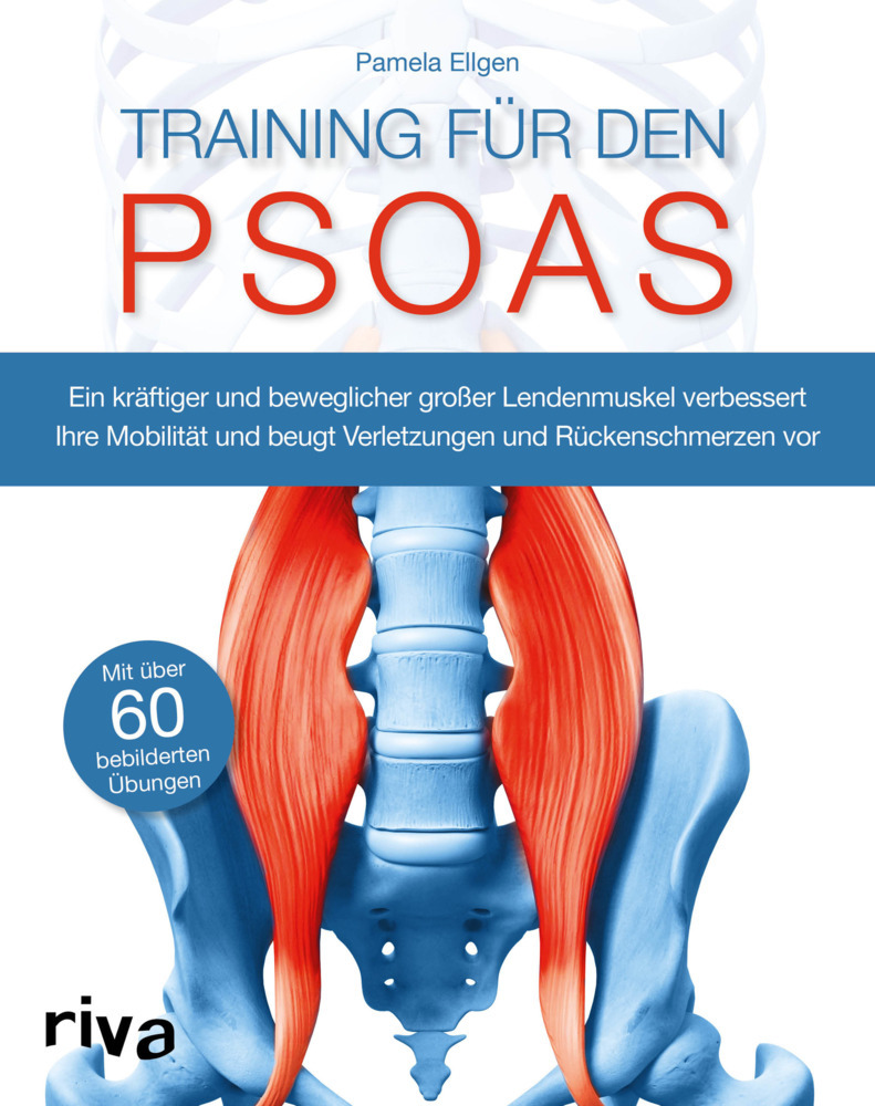 Pamela Ellgen: Training für den Psoas - Taschenbuch