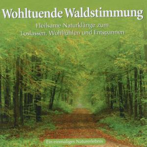 Wohltuende Waldstimmung, Audio-CD - CD