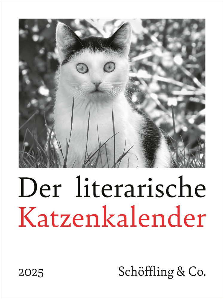 Julia Bachstein: Der literarische Katzenkalender 2025