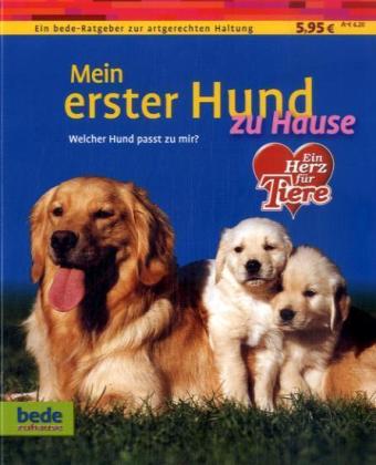 Dominik Kieselbach: Mein erster Hund zu Hause - Taschenbuch