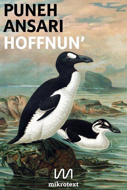 Puneh Ansari: Hoffnun´ - Taschenbuch