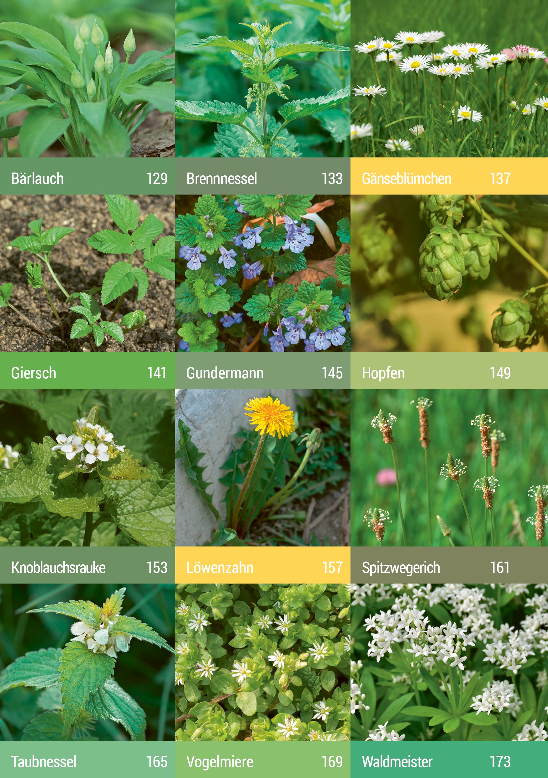 - Geh raus! Deine Stadt ist essbar » Buch