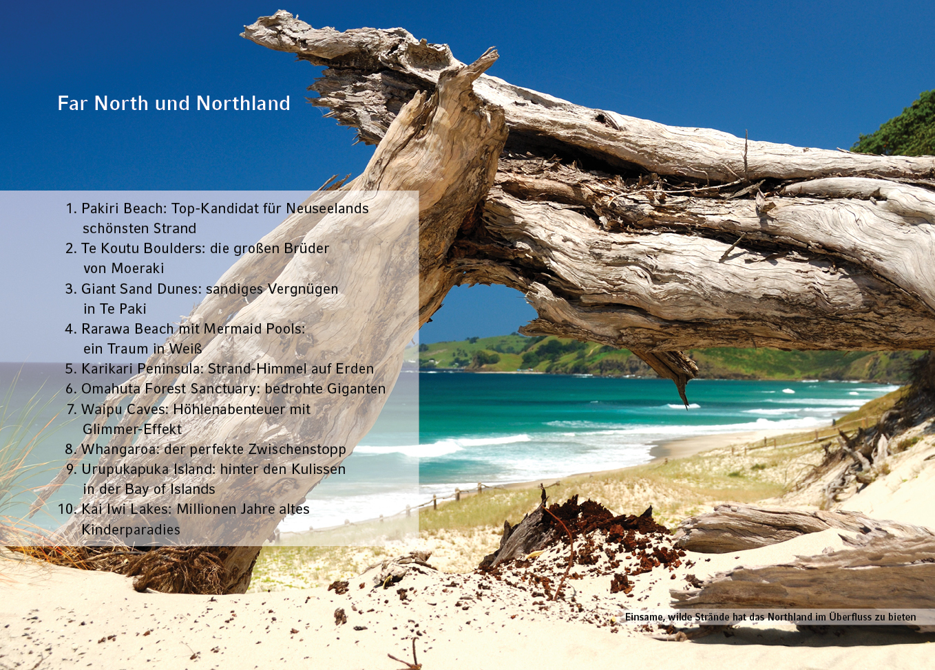 Jenny Menzel: Neuseeland - Nordinsel - Taschenbuch