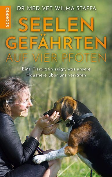 Buchcover mit dem Titel 'Seelengefaehrten auf vier Pfoten'. Eine Frau spielt mit einem Hund im Freien.