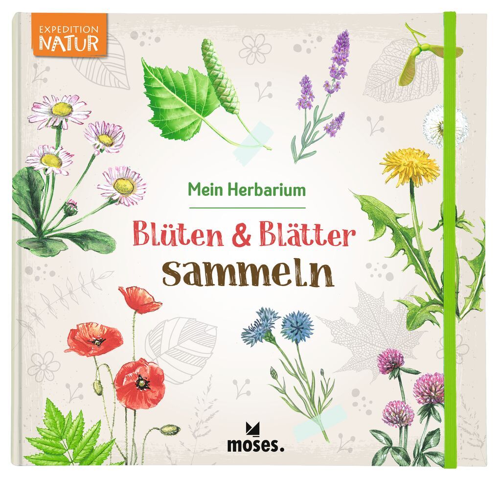 Anke Küpper: Blüten & Blätter sammeln - Taschenbuch