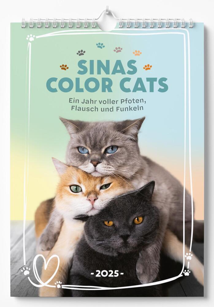 Sina Pollok: Sinas Color Cats - Ein Jahr voller Pfoten, Flausch und Funkeln