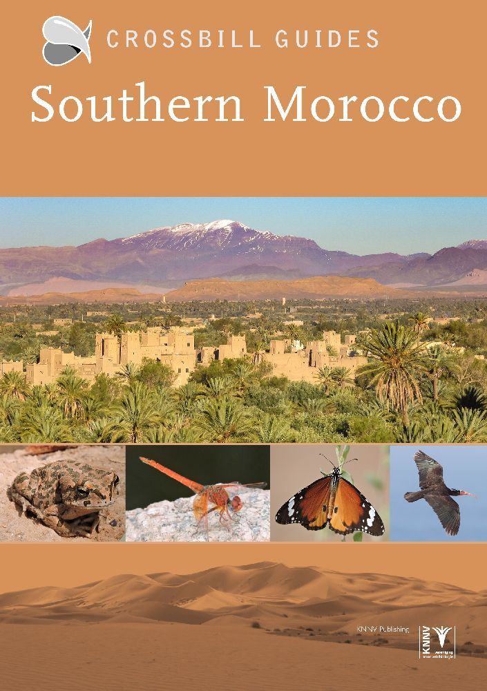 Martin Pitt: Southern Morocco - Taschenbuch