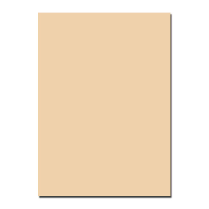Folia Tonzeichenpapier, 50x70cm, chamois, 1 Bogen