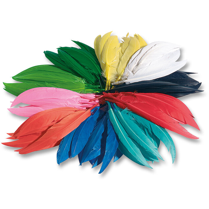 FOLIA Bastelfedern 100 g mehrere Farben