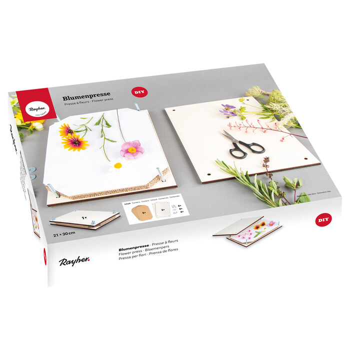 RAYHER Blumenpresse 21 x 30 cm weiß/braun