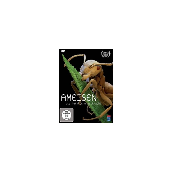 Ameisen - Die heimliche Weltmacht, 1 DVD - DVD