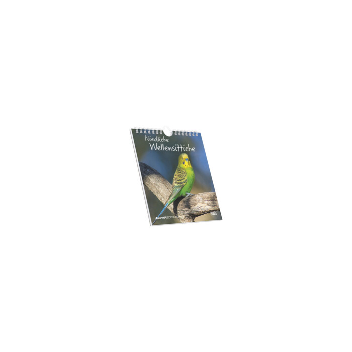 Niedliche Wellensittiche 2026 - Postkartenkalender 16x17 cm - Budgies - zum Aufstellen oder Aufhängen - Monatskalendarium - Gadget - Mitbringsel -...
