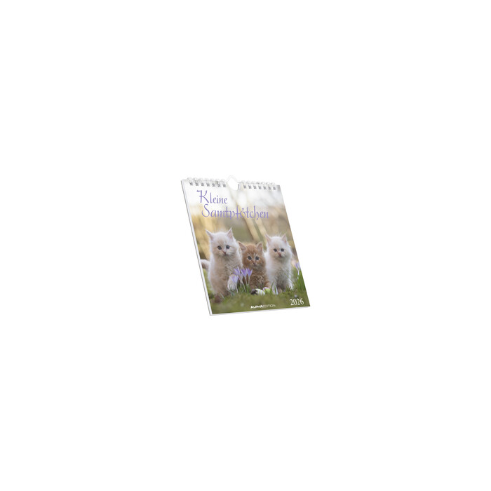 Kleine Samtpfötchen 2026 - Postkartenkalender 16x17 cm - Katzen - zum Aufstellen oder Aufhängen - Monatskalendarium - Gadget - Mitbringsel - Alpha...