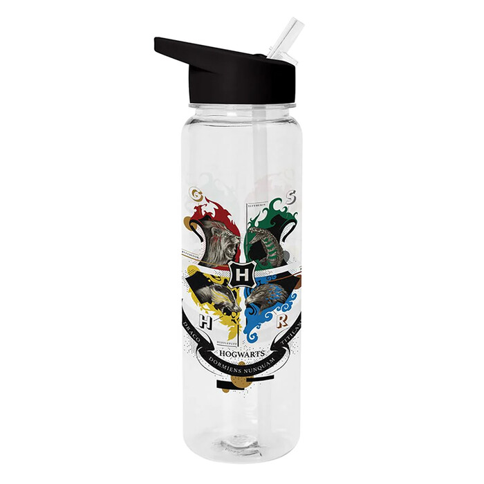 Trinkflasche Harry Potter Hogwarts mit Trinkhalm 700 ml bunt