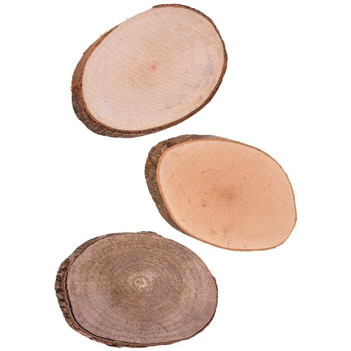 Holzscheiben 12 Stück