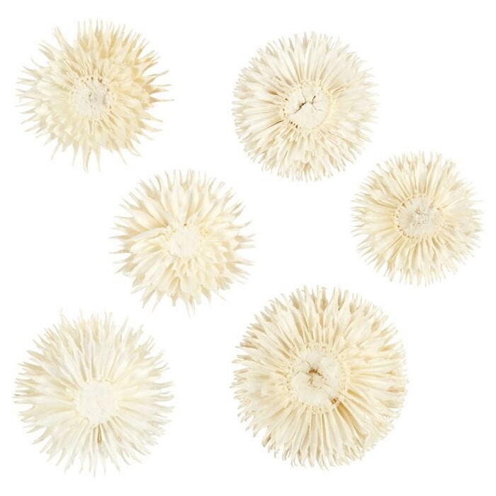 Getrocknete Blütenköpfe Ø 3-5 cm 6 Stück natur