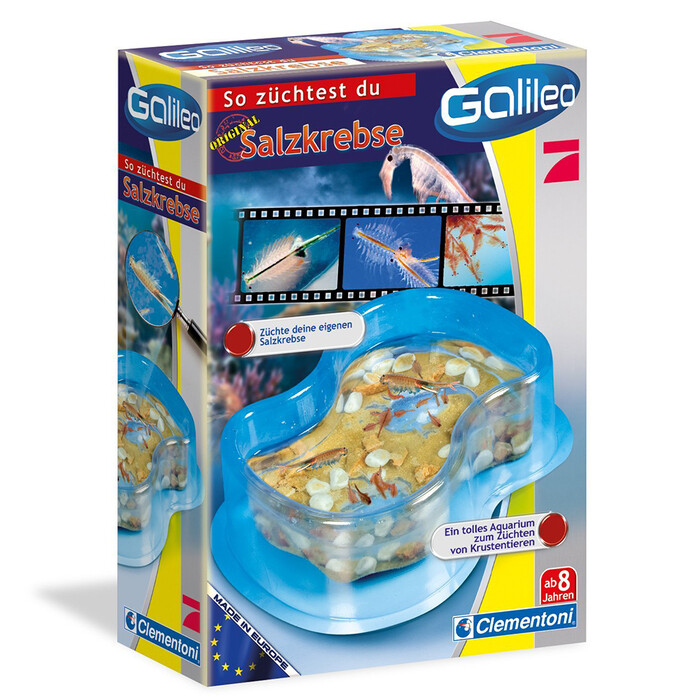 GALILEO Experimentierkasten Original Salzkrebse