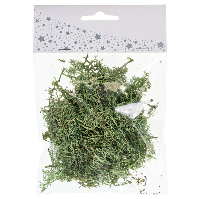 Bastelmoos 20 g grün