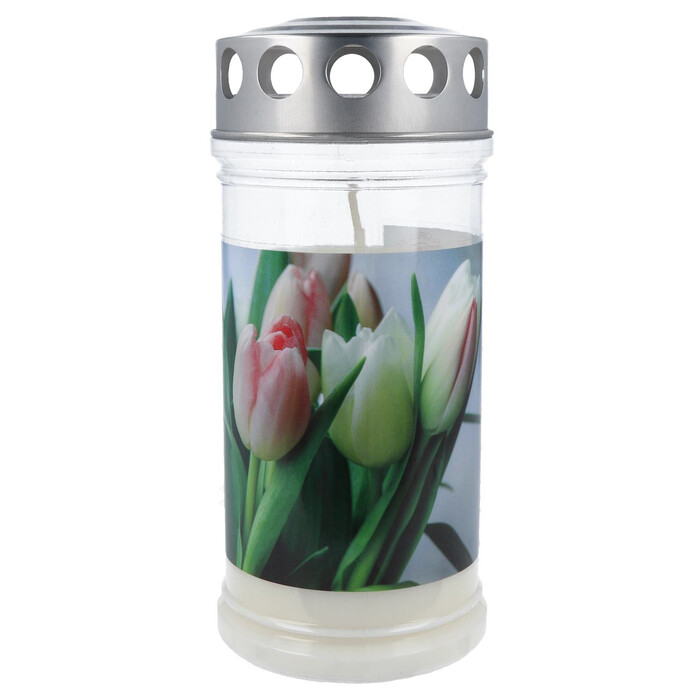 Premium Motivlicht Tulpe für 4 Tage transparent