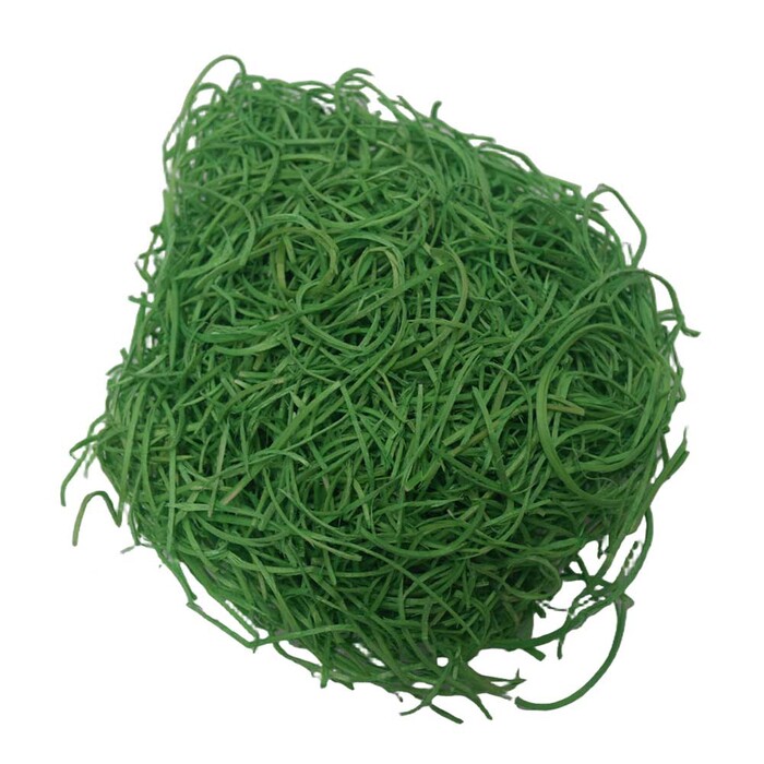NOVOOO Seasons Spring Ostergras 50 g grün