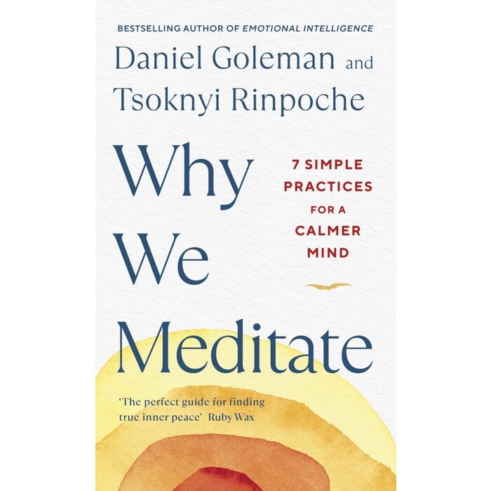 Tsoknyi Rinpoche: Why We Meditate - gebunden