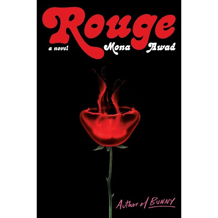 Mona Awad: Rouge - Taschenbuch