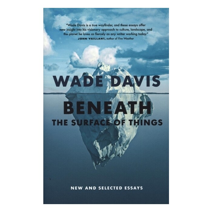 Wade Davis: Beneath the Surface of Things - gebunden