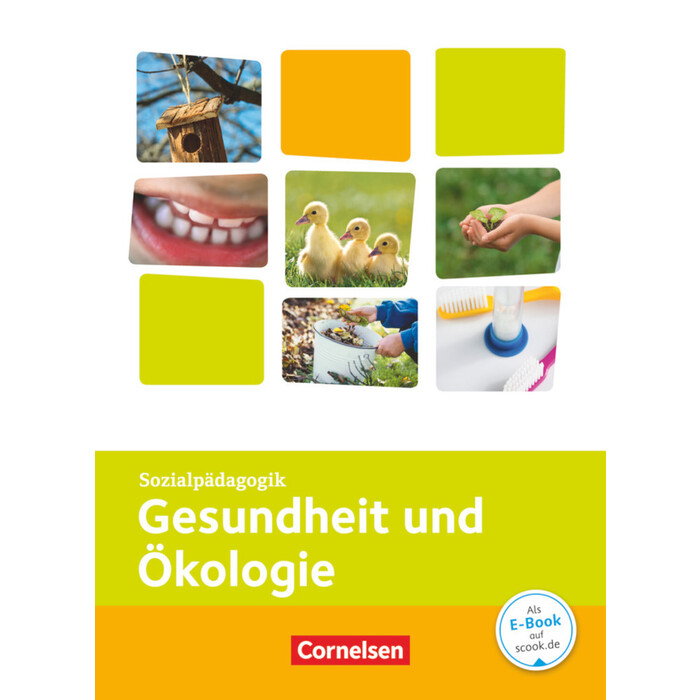 Thomas Schauer: Kinderpflege - Gesundheit und Ökologie / Hauswirtschaft / Säuglingsbetreuung / Sozialpädagogische Theorie und Praxis - gebunden