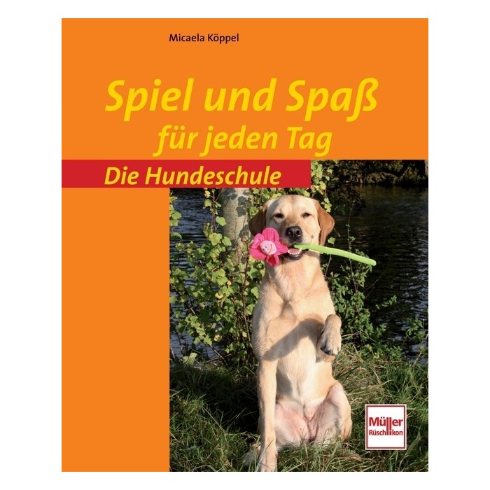 Micaela Köppel: Spiel und Spaß für jeden Tag - Taschenbuch