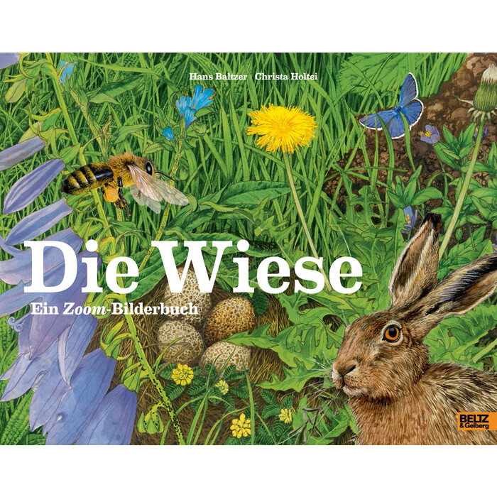 Hans Baltzer: Die Wiese - gebunden