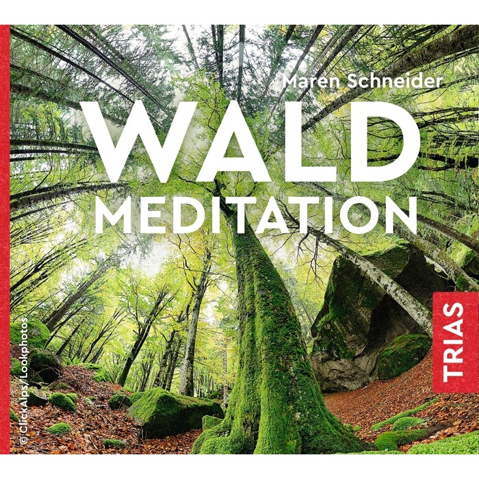 Maren Schneider: Waldmeditation, Audio-CD - CD