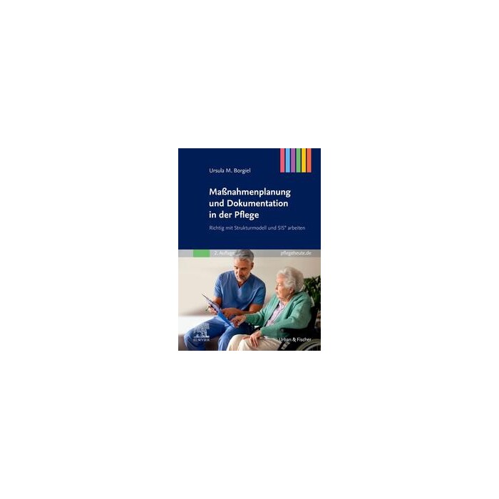Ursula M. Borgiel: Maßnahmenplanung und Dokumentation in der Pflege - Taschenbuch