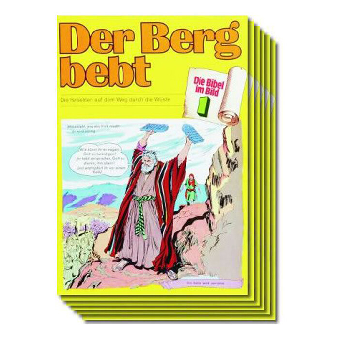 Die Bibel im Bild