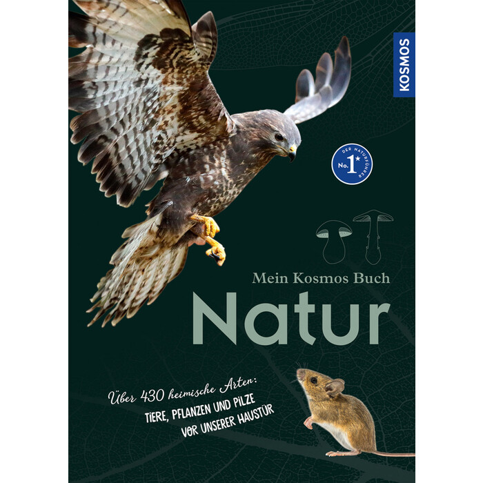 Bärbel Oftring: Mein Kosmos-Buch Natur - gebunden